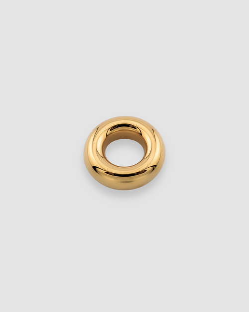 Torus Charm