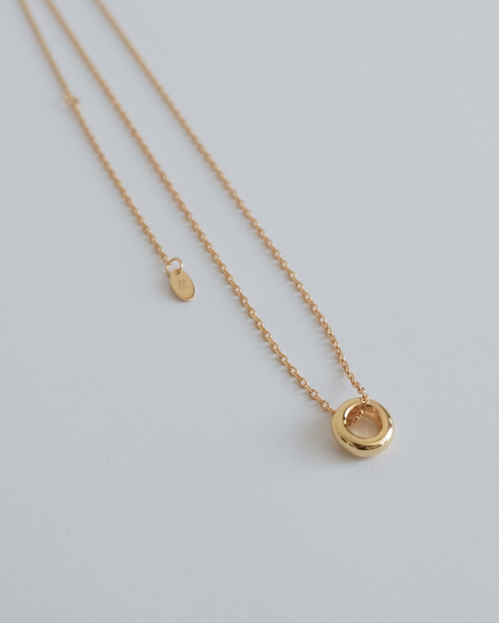 Torus Necklace
